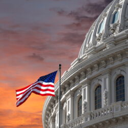 ‘maga,-maga-and-more-maga’:-what-experts-are-saying-about-all-nine-gop-candidates-for-speaker