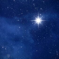 will-howard-law-focus-on-the-new-frontier?