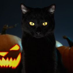 get-ready:-atl’s-legally-themed-halloween-costume-contest-will-be-here-soon