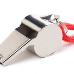 the-new-american-dream-in-3-easy-steps:-become-a-whistleblower,-call-the-sec,-cash-in