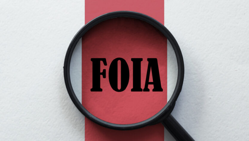 lawsuits-prompt-immigration-agencies-to-publish-critical-documents-in-their-foia-libraries