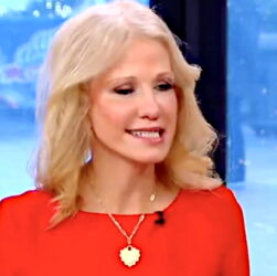 kellyanne-conway-says-dems-all-drive-evs,-get-abortions,-and-think-about-january-6-every-day