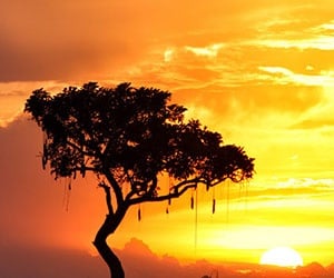 building-a-treehouse:-a-personal-journey-in-establishing-ai-usage-rules-in-legal-teams