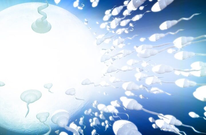 the-fight-to-protect-fertility-treatments-post-dobbs