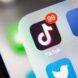bytedance-isn’t-the-only-one-fighting-the-tiktok-ban
