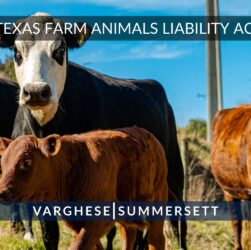 texas-farm-animals-liability-act-(fala)-and-injuries-related-to-farm-animals