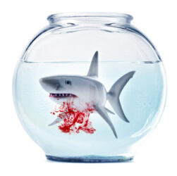 biglaw-firm-sets-the-record-straight-on-layoffs-—-see-also