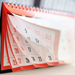 for-this,-i-am-again-grateful