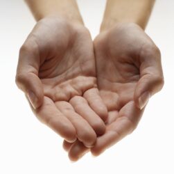 judge-ho-goes-full-pick-me-—-see-also