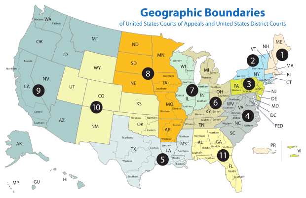 the-circuit-court-that’s-a-democratic-stronghold