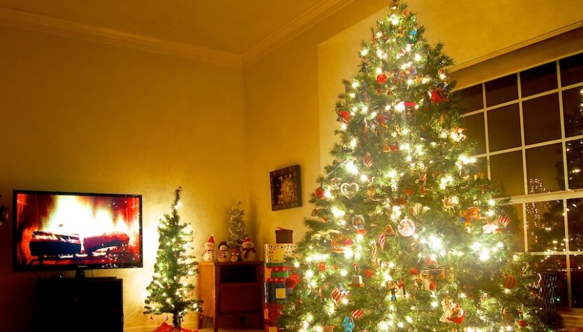 maga-world-ignores-christmas-season-on-social-media