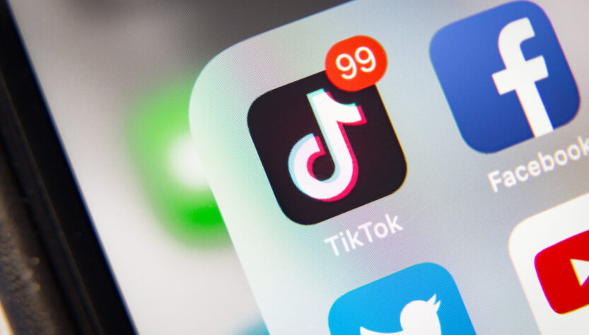 the-people-respond-to-the-proposed-tiktok-ban-in-the-most-american-way-possible