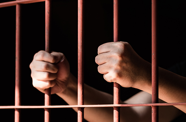 tom-goldstein-is-free!-for-now.