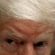 one-loss-won’t-stop-the-administration-—-see-also