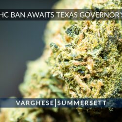 new-thc-laws-in-texas:-the-ban-that-creates-thc-in-testing