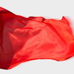 a-week-of-immigration-‘red-flags’-from-the-trump-administration