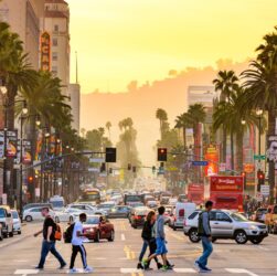 how-immigration-is-shaping-us-cities