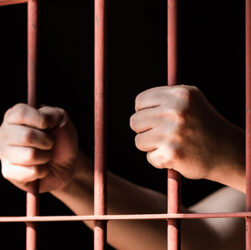 judge-suggests-briefs-with-hallucinated-citations-could-land-lawyers-in-prison-for-life