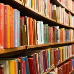 san-francisco-bookstore-boots-‘harry-potter’-over-jk-rowling’s-transphobia:-‘solidarity-forever’