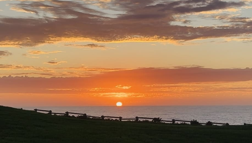 legal-ethics-roundup:-judicial-threats,-da-willis-out-over-romance,-tn-joins-accreditor-scrutiny,-new-ai-bluebook-rule-&-more