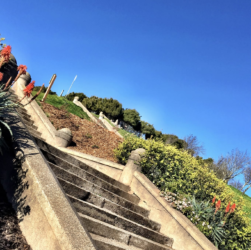 legal-ethics-roundup:-judge-resigns-in-protest,-more-ai-sanctions,-bar-complaint-against-halligan,-scotus-ethics-code-turns-2-&-more