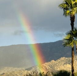 legal-ethics-roundup:-‘judicial-burn’-dissent,-high-stakes-poker-player-lawyer-risks-it-all,-ai-faked-evidence,-doj-misconduct-&-more 