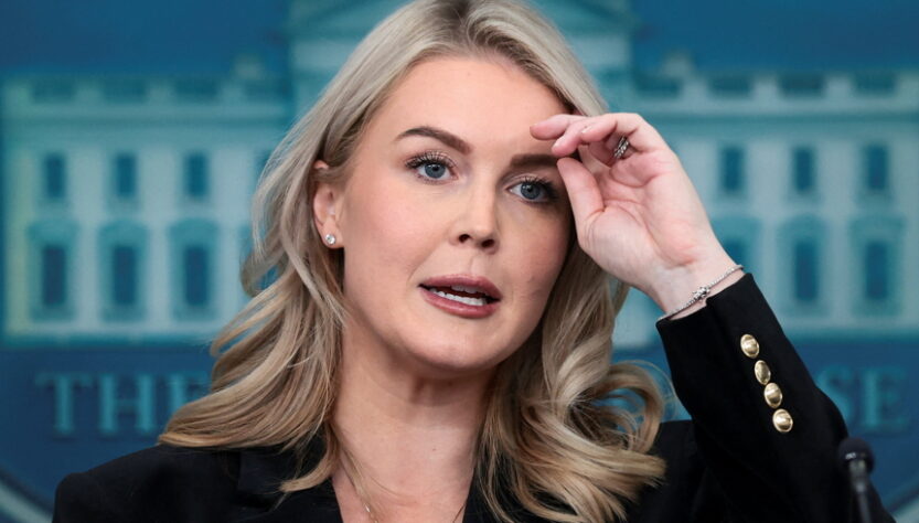 mother-of-karoline-leavitt’s-nephew-raises-$17k-after-ice-arrest