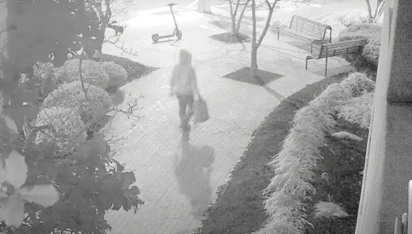 suspect-arrested-in-j6-dnc-and-rnc-pipe-bomb-case:-report