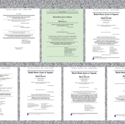 film-studios,-news-media,-and-even-competitor-lexisnexis-among-the-9-amicus-briefs-supporting-thomson-reuters’-copyright-case-against-ross