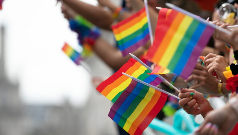 .meow-wants-to-use-internet-domain-registration-to-help-the-queer-community