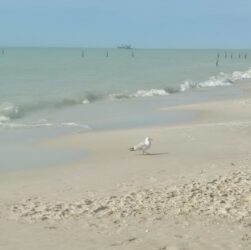 legal-ethics-roundup:-ethics-of-ai-glasses-in-court,-gambling-lawyer-guilty,-scotus-restricts-access-to-counsel,-judge’s-novel-recusal-&-more