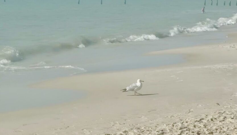 legal-ethics-roundup:-ethics-of-ai-glasses-in-court,-gambling-lawyer-guilty,-scotus-restricts-access-to-counsel,-judge’s-novel-recusal-&-more