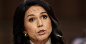 ‘I Don’t Think She Survives This’: Gabbard Faces Blowback After ‘Devastating’ Testimony
