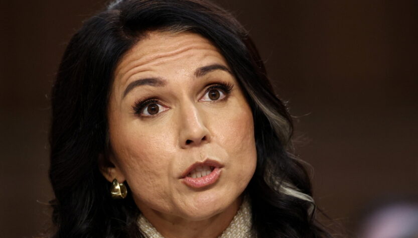 ‘i-don’t-think-she-survives-this’:-gabbard-faces-blowback-after-‘devastating’-testimony